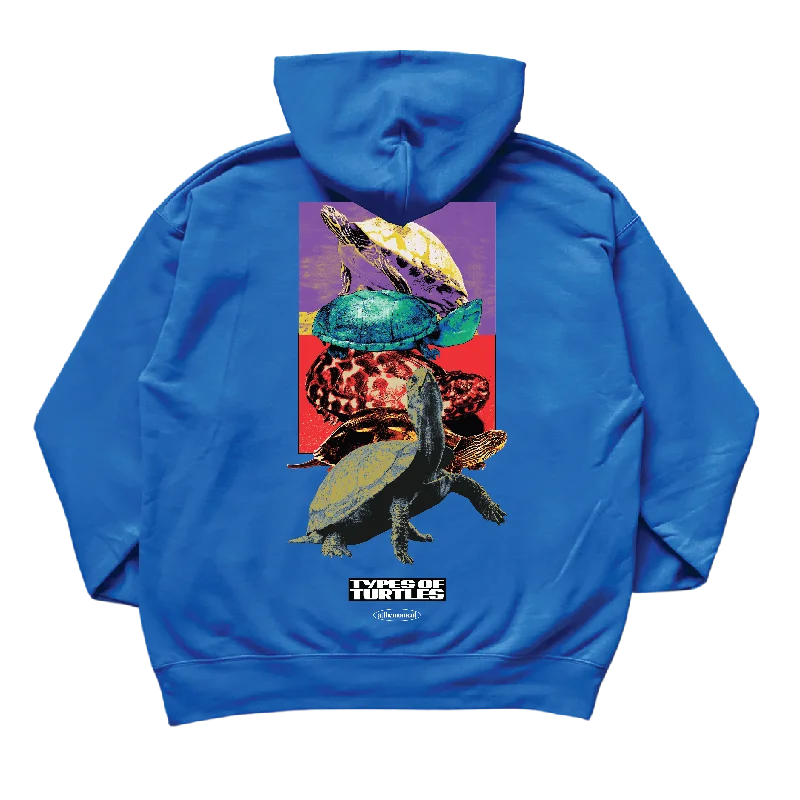 Sports Design Types of Turtles Hoodie