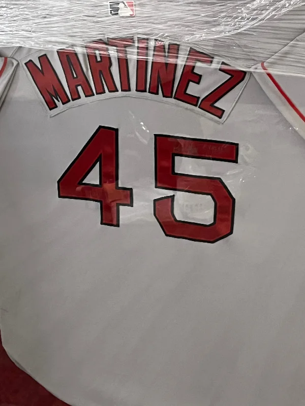 Elegant Design Pedro Martinez Framed Autographed Jersey - Player's Closet Project