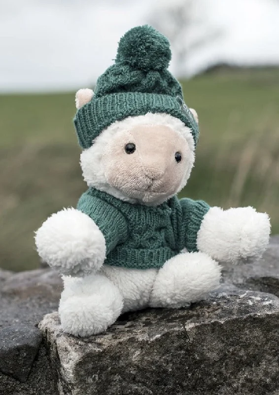 Fashion Must-have Aran Sheep With Aran Jumper